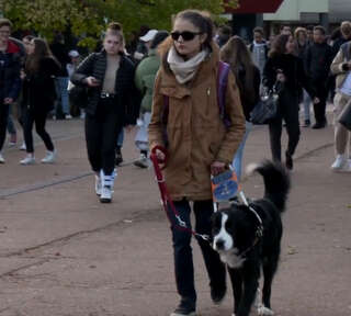 photo d'une personne malvoyante accompagnée par son chien guide en ville, extraite du film