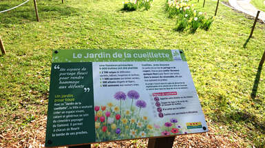 Cimetière du Gamond : le jardin de la cueillette est en fleurs ! 