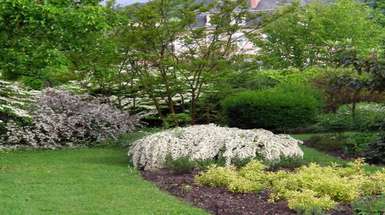 Biodiversité / îlots de fraicheur / espaces verts