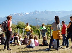 Animation école Cine