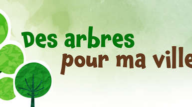 Des arbres pour ma ville
