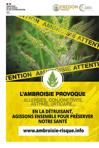 Affiche Attention Ambroisie