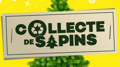 Opération "Sapinous" 