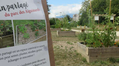 Jardins familiaux et partagés